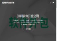 深圳软件开发公司-软件开发-外包-定制-APP定制公司