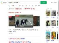在日的中国公民注意熊出没_360搜索