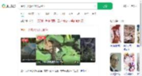 温州一天然泳池出现鳄鱼_360搜索