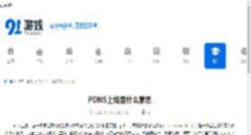 PDNS上线是什么意思 - 91手游网