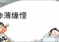 微信独立发送按钮位置在哪-微信独立发送按钮在什么地方 - 91手游网