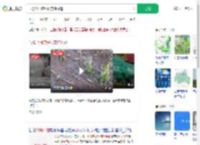 气象台回应绥化突降冰雹_360搜索