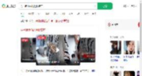 男子跪地偷爬进服装店_360搜索