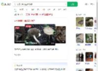 男子误食野生毒蘑菇致肾衰_360搜索