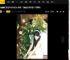程潇穿白色包臀裙勾勒曼妙身姿！与鲜花合影秒变氧气感美女