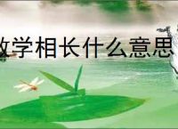《他的潮汐献祭》一颗糖亚　^第54章^ 最新更新:2025-07-18 06:05:00 晋江文学城