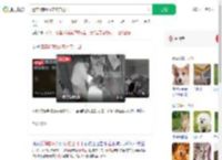 遗弃3狗崽放宠物店门口_360搜索