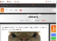 鼠鼠表情包大全-鼠鼠表情包汇总_游侠手游