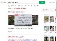 强制搬迁致500只兔子死亡_360搜索