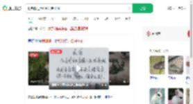 强制搬迁致500只兔子死亡_360搜索