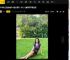 33岁杨采钰被曝产子后晒美照！露小蛮腰身材丰腴性感