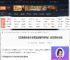红色的炼金术士和白色的守护者什么时候发售-游侠网