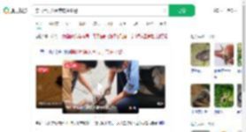 穿山甲误入闹市店主报警_360搜索
