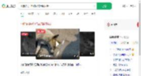 小狗被男子射伤忍痛用嘴拔针_360搜索