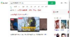 女童被蜜蜂蜇伤30分钟后离世_360搜索