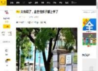 太低调了，金世佳孩子都上学了_角色_什么_儿子