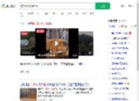 被东风5C烧饼馋到了_360搜索