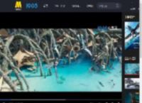 《阿凡达：水之道》发布预告 The Weeknd将献唱主题曲_高清视频在线观看_电影网