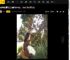 奚梦瑶抱着花去公园散步好惬意！头戴墨镜又美又飒