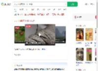 天天下雨鞋带上长出了绿芽_360搜索