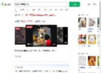 宠物狗坐宝宝椅吃饭_360搜索