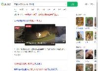 夜遇野生东北虎大喊：本地的_360搜索