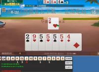 大家乐记牌器官方下载 - 正版电脑/手机通用丨智能算牌 胜率分析丨支持100 棋牌游戏