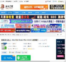 Wise Disk Cleaner下载 磁盘垃圾清理工具 Wise Disk Cleaner free v11.0.6 绿色特别版 下载-脚本之家