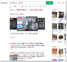 团伙开车进村5秒内将狗掳走_360搜索