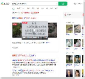 强制搬迁致500只兔子死亡_360搜索
