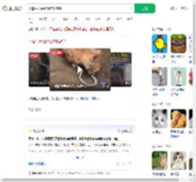 小猫生吞活蛇像在吃辣条_360搜索
