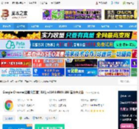 Chrome浏览器下载 Google Chrome(谷歌浏览器) 32位 v134.0.6998.166 官方中文版 下载-脚本之家