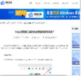 Edge浏览器工具栏的必应图标如何关闭-【一招轻松移除】-系统之家