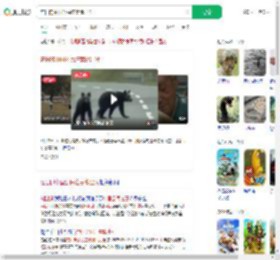 在日的中国公民注意熊出没_360搜索