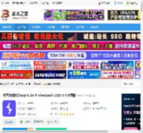 Burp Suite Pro免费下载 渗透测试软件Burp Suite Professional v2025.4.4 免费版 下载-脚本之家
