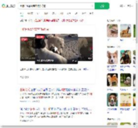 土狗长毛靠智商在狗群称霸_360搜索