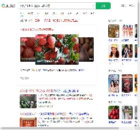 小伙拍下800斤杨贵妃同款荔枝_360搜索