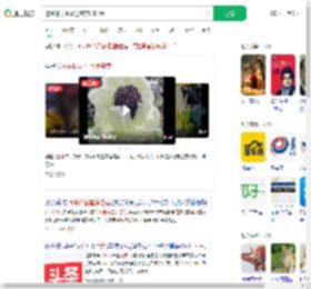 挖44株野生雪莲售卖2000元_360搜索