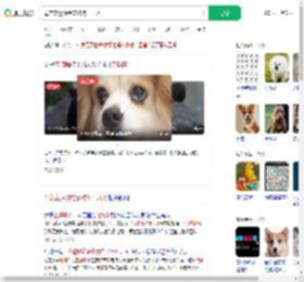 母亲立遗嘱给宠物狗十几万_360搜索