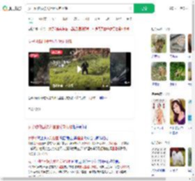 女子动物园被大猩猩反向投喂_360搜索