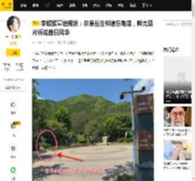 李媛媛墓地现状：杂草丛生似遗忘角落，鲜亮照片诉说昔日风华_墓碑_鲜花_孩子