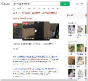 反锁公用门遭撬锁宠物猫被扔_360搜索