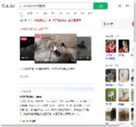 女子救下被洪水冲走的狗狗_360搜索