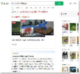 老人被毒蛇咬打4支血清脱险_360搜索