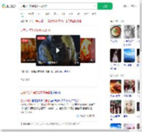 云南火把节橘猫被抹成黑猫_360搜索