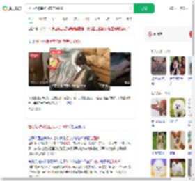 担心猪被宰抱回家养到400斤_360搜索