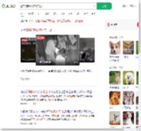 遗弃3狗崽放宠物店门口_360搜索
