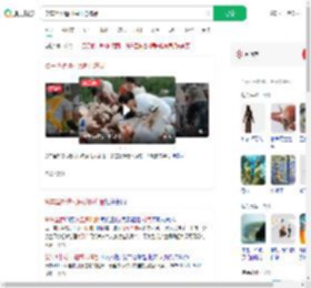 货车坠桥遭村民哄抢冻品_360搜索