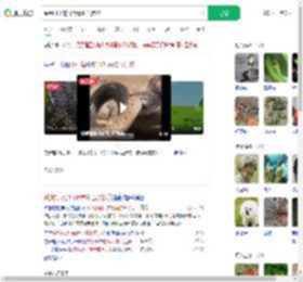 踩到打架的竹叶青和五步蛇_360搜索