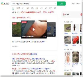 村民干活遭大型猫科动物袭击_360搜索